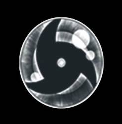 logo Beyond Insanity